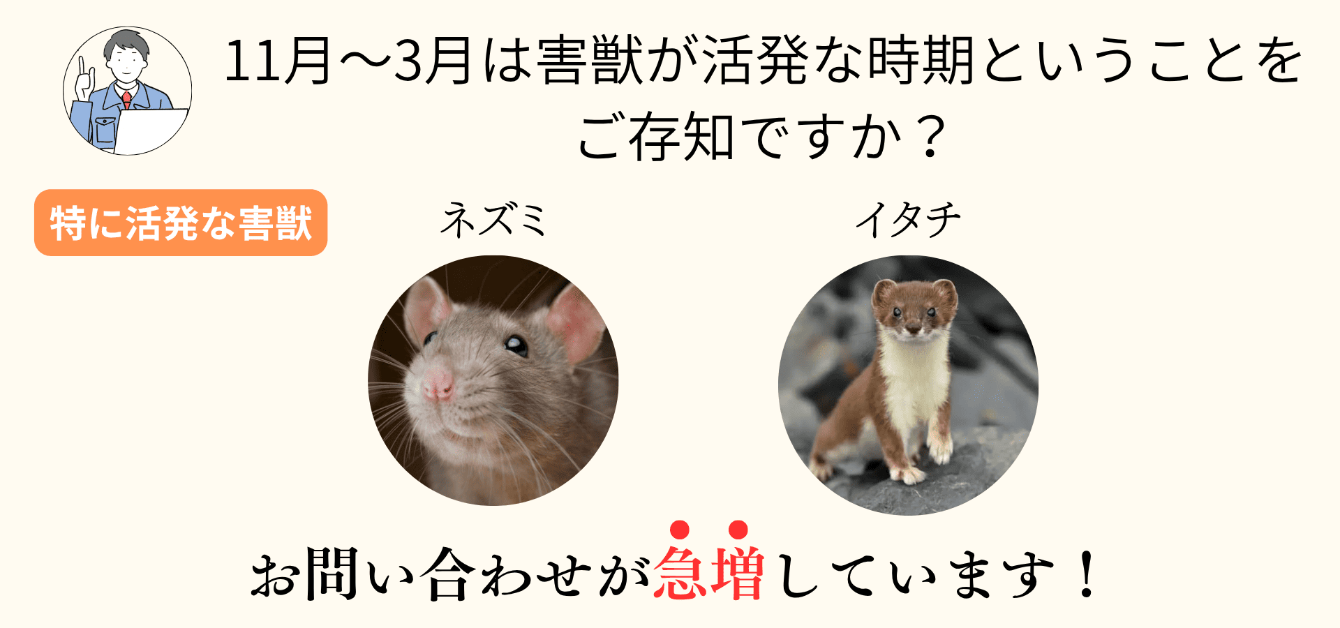 11〜3月は害獣が活発な時期ということをご存知ですか？