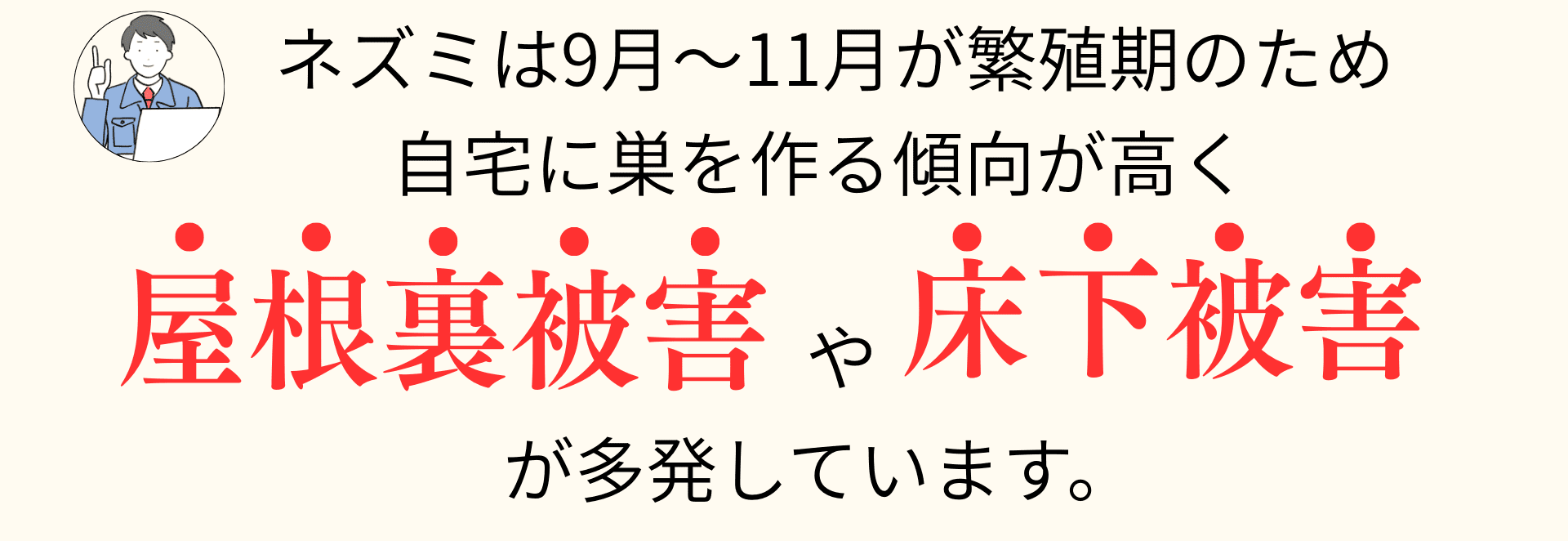 ネズミは9月〜11月が繁殖期のため自宅に巣を作る傾向が高く屋根裏被害 や 床下被害が多発しています。