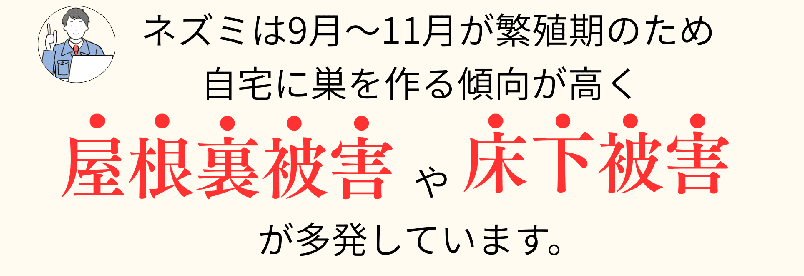 ネズミは9月〜11月が繁殖期のため自宅に巣を作る傾向が高く屋根裏被害 や 床下被害が多発しています。
