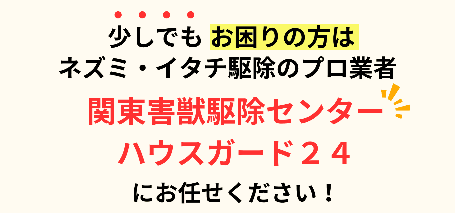 少しでもお困りの方はコウモリ・ネズミ駆除のプロ業者関東害獣駆除センターハウスガード24にお任せください！
