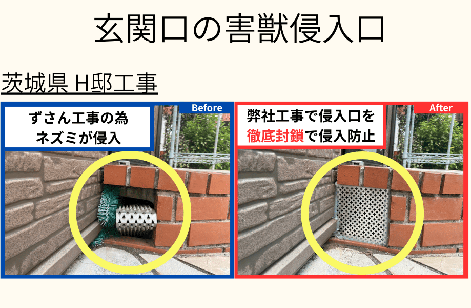 自宅裏の害獣侵入口　茨城県H邸工事
