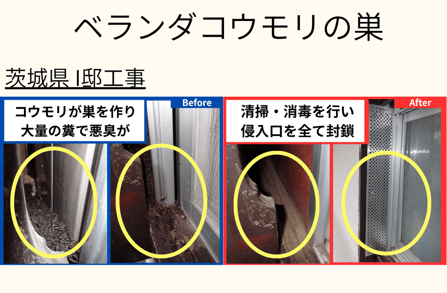ベランダコウモリの巣　茨城県I邸工事