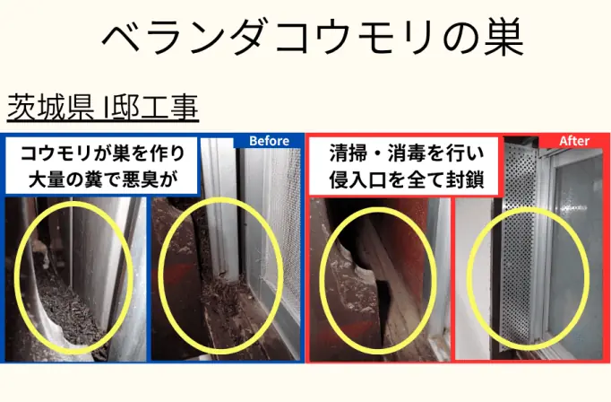 ベランダコウモリの巣　茨城県I邸工事