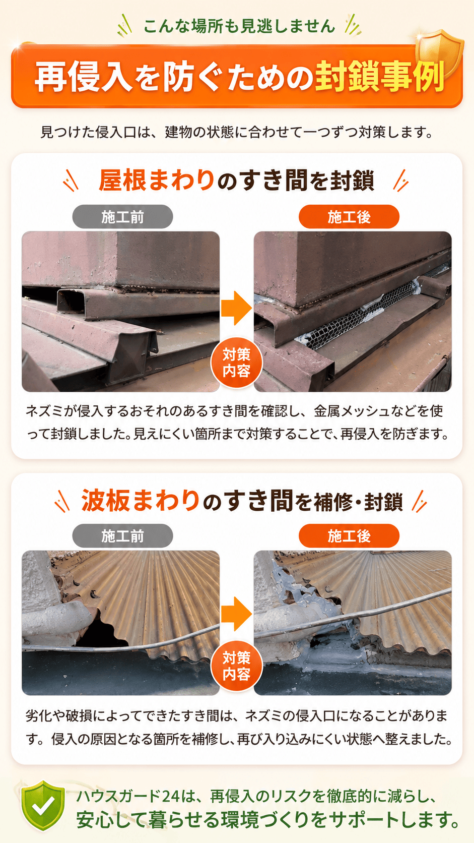 再侵入を防ぐための封鎖事例。屋根まわりのすき間を封鎖。波板まわりのすき間を補修・封鎖。