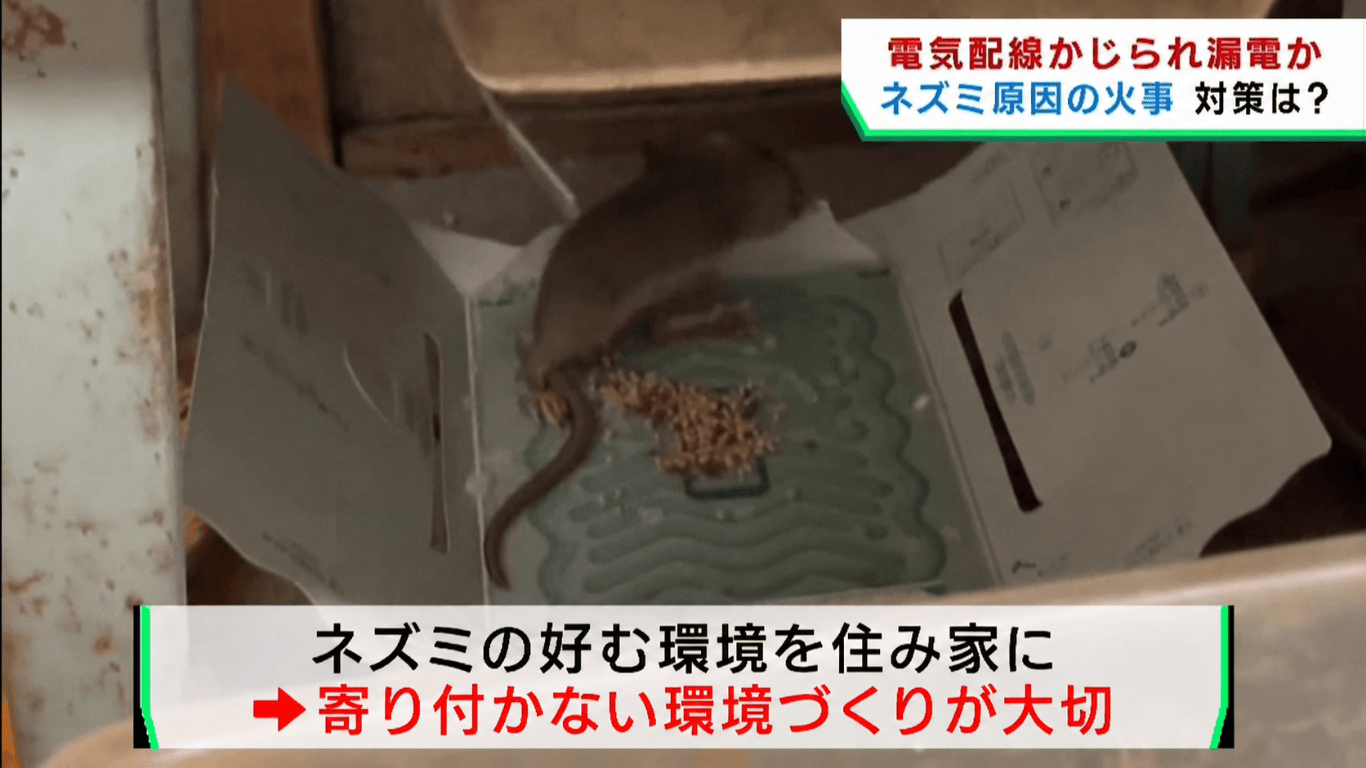 電気配線をかじられ漏電化。ネズミ原因の火事対策は？寄り付かない環境づくりが大切