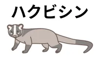 ハクビシン