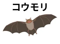 コウモリ