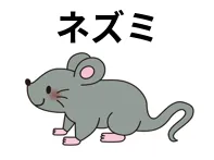 ネズミ