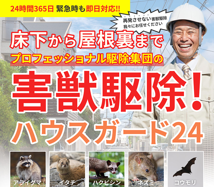 床下から屋根裏までプロフェッショナル駆除集団の害獣駆除ハウスガード24
